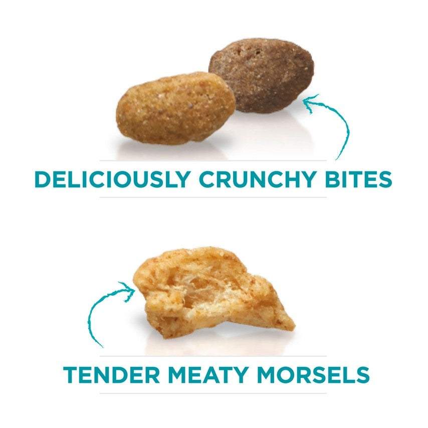 Purina ONE Tender Selects Blend Real Chicken Dry Cat Food  