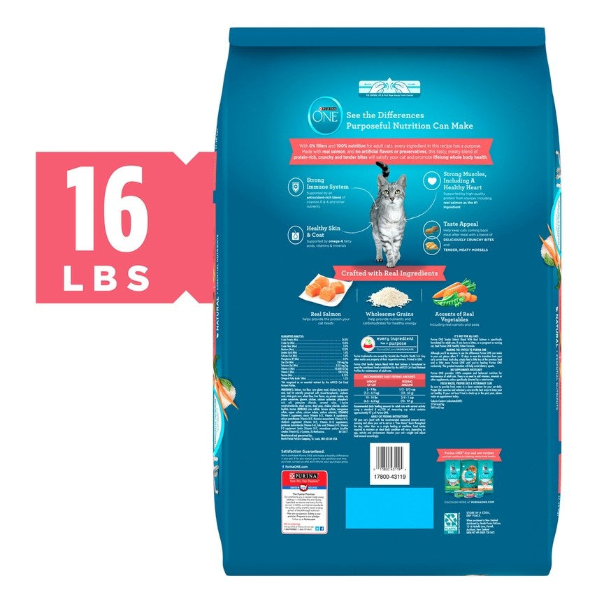 Purina ONE Tender Selects Blend Real Salmon Dry Cat Food Pet Life