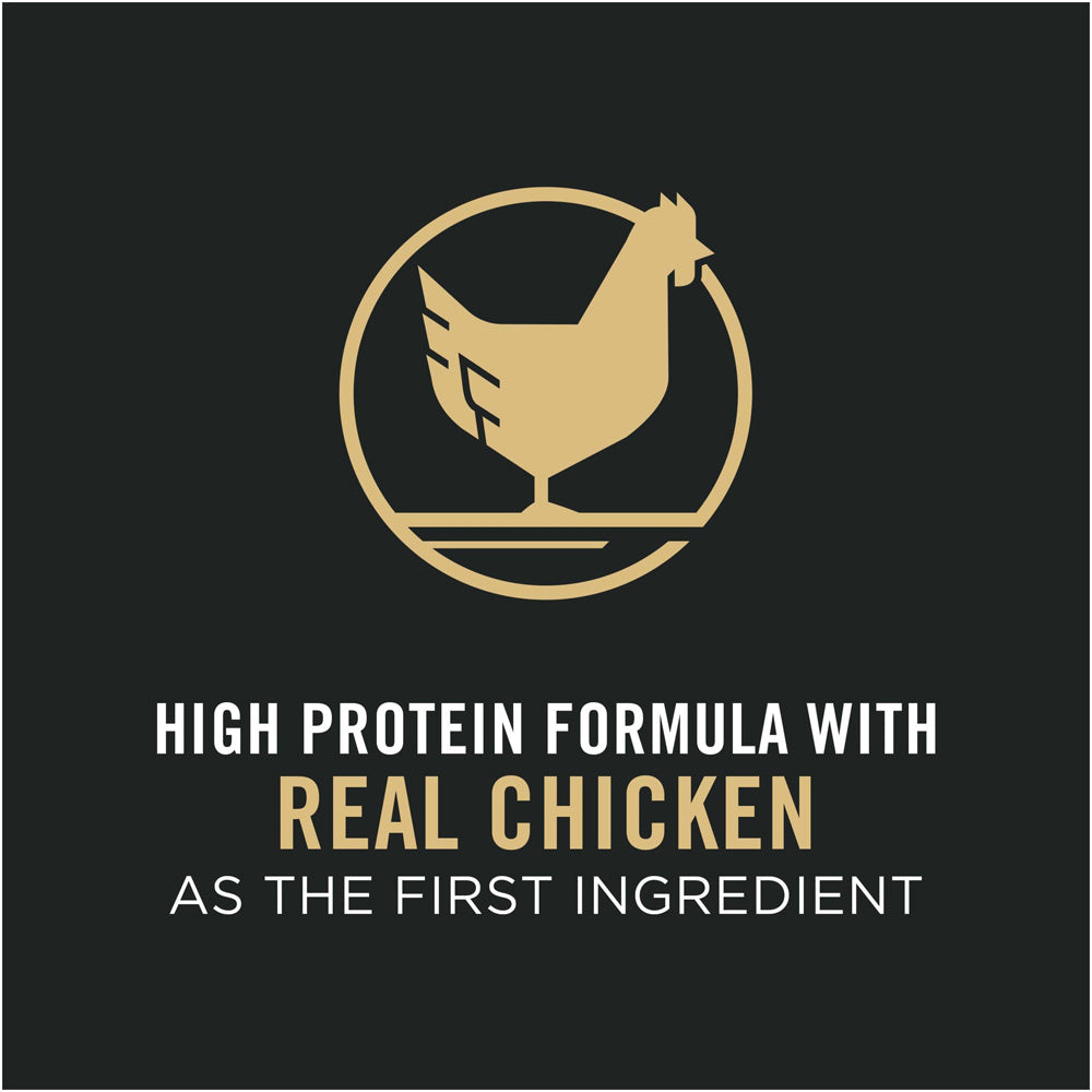 Purina Pro Plan Chicken & Rice Formula Toy Breed Dry Puppy Food  