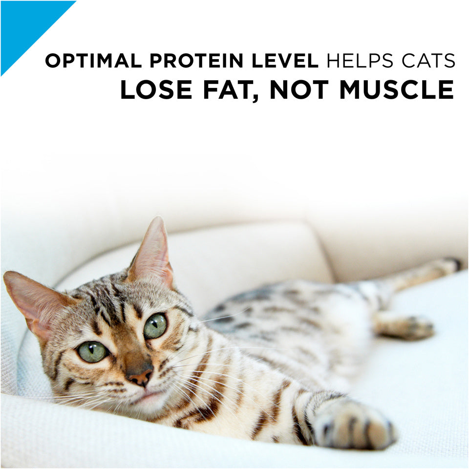 Pro plan weight management hotsell cat food