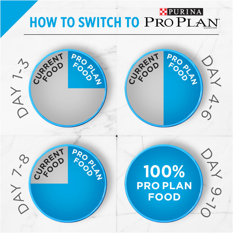 Purina Pro Plan Focus Chicken & Rice Formula Adult Small & Toy Breed Dry Dog Food  