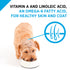 Purina Pro Plan Focus Chicken & Rice Formula Adult Small & Toy Breed Dry Dog Food  