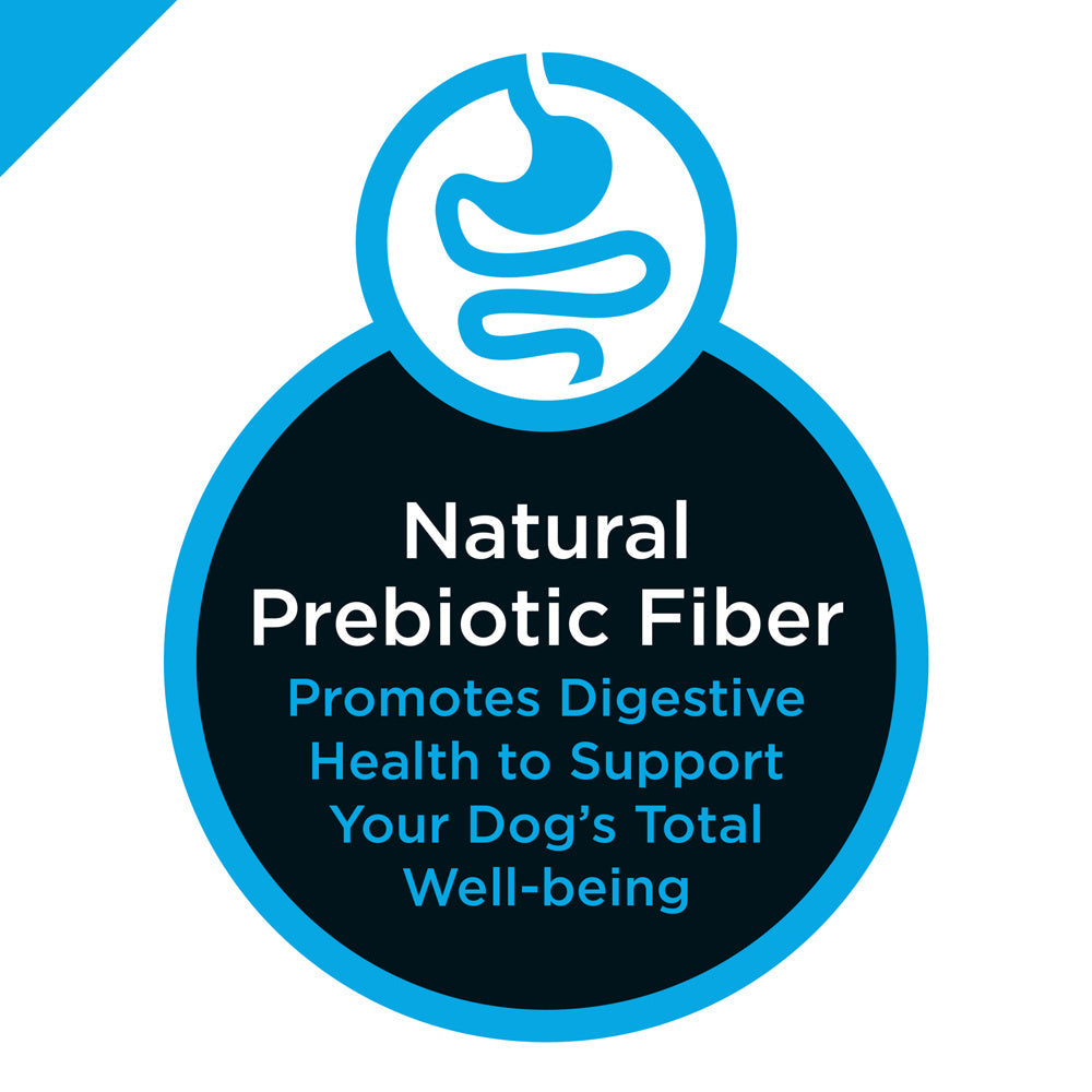 Purina Pro Plan Focus Chicken & Rice Formula Adult Small & Toy Breed Dry Dog Food  