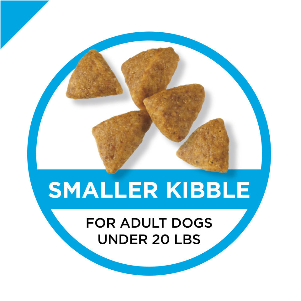Purina Pro Plan Focus Chicken & Rice Formula Adult Small & Toy Breed Dry Dog Food  