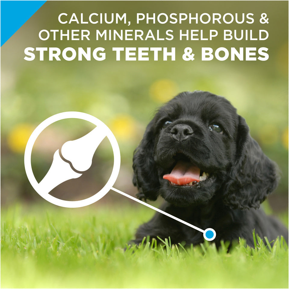 Purina Pro Plan Focus Chicken & Rice Formula Puppy Small Breed Dry Dog Food  