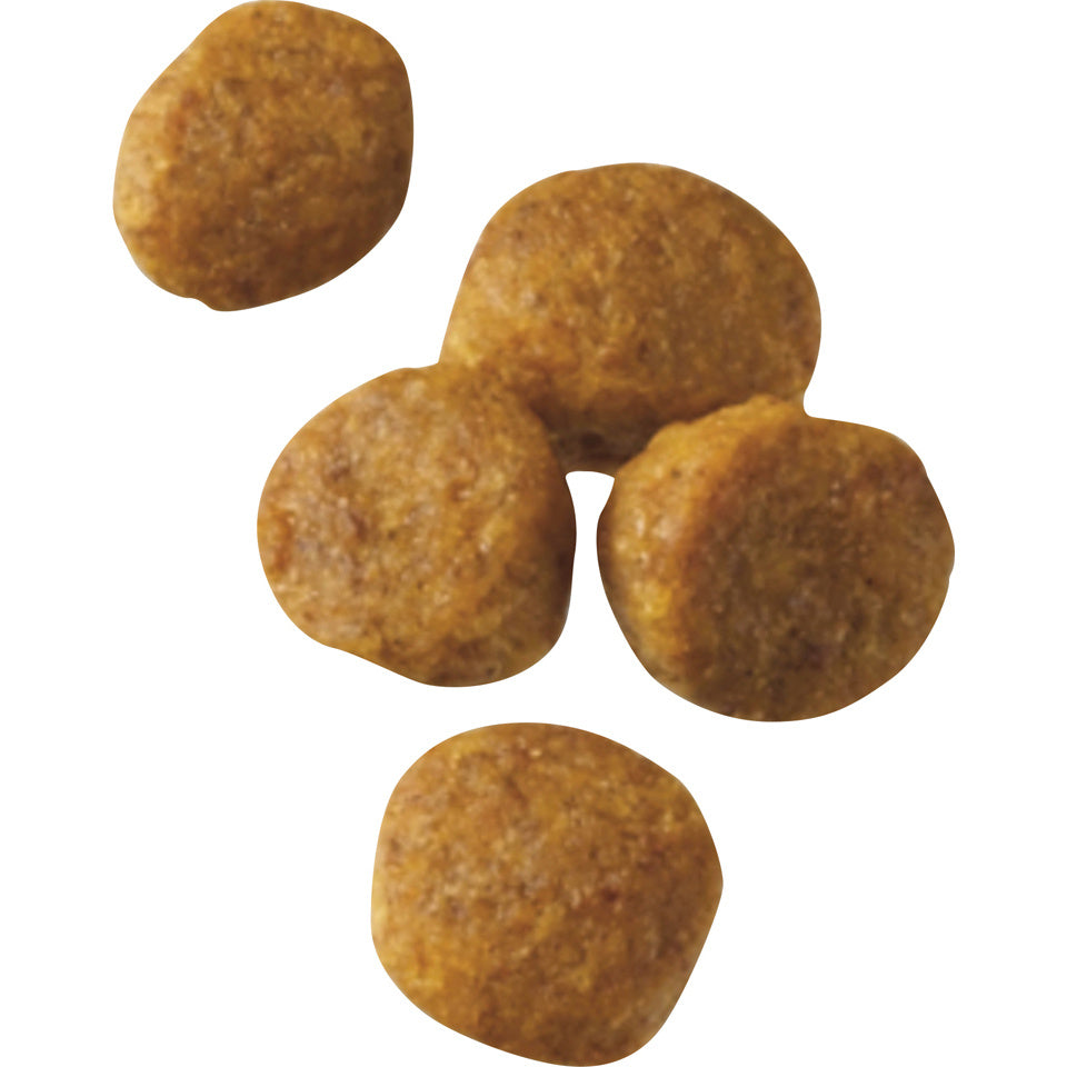 Purina Pro Plan Focus Chicken & Rice Formula Puppy Small Breed Dry Dog Food  