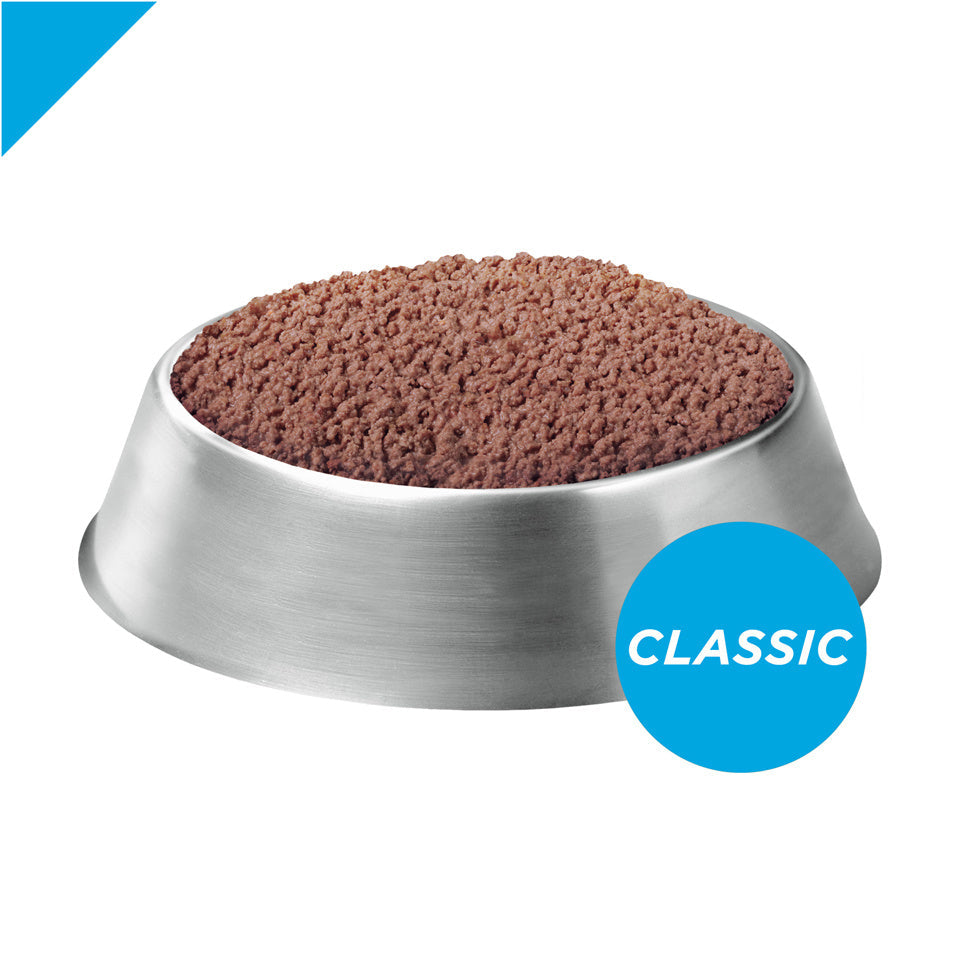 Purina Pro Plan Focus Grain-Free Classic Chicken Entree Wet Puppy Food  