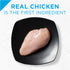 Purina Pro Plan Focus Grain-Free Classic Chicken Entree Wet Puppy Food  