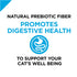 Purina Pro Plan Focus Probiotics Sensitive Skin & Stomach Turkey & Oat Meal Natural Dry Cat Food  