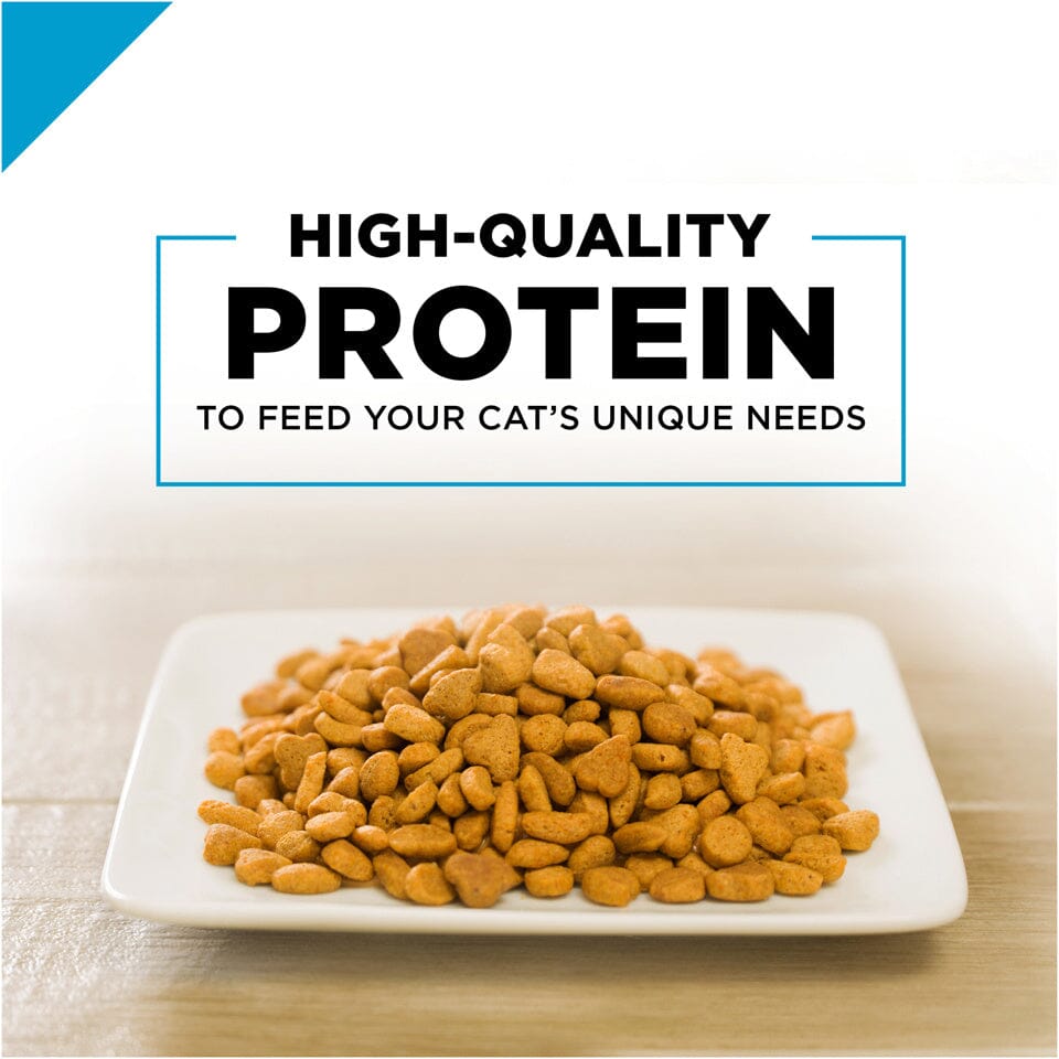 Purina Pro Plan Focus Probiotics Sensitive Skin & Stomach Turkey & Oat Meal Natural Dry Cat Food  