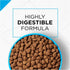 Purina Pro Plan Focus Sensitive Skin & Stomach Formula Lamb & Oat Meal Formula Dry Dog Food  