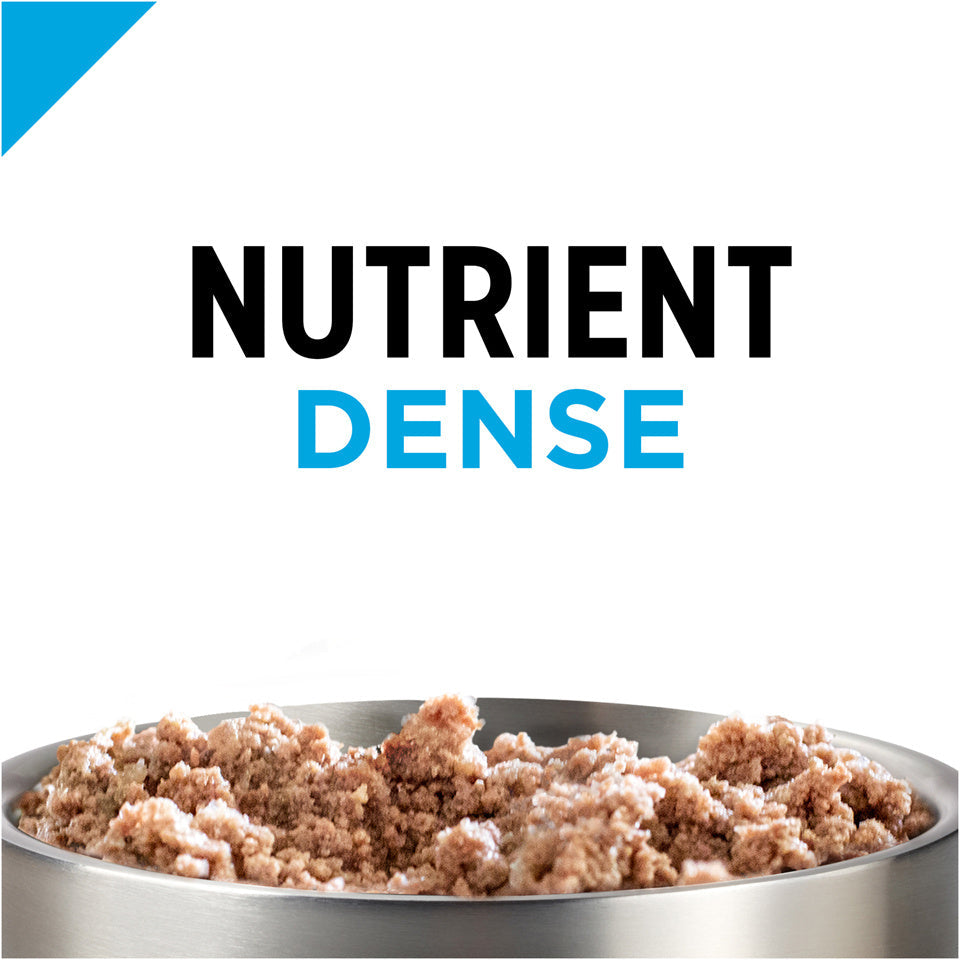 Purina Pro Plan Focus Small Breed Beef Entree Adult Wet Dog Food  