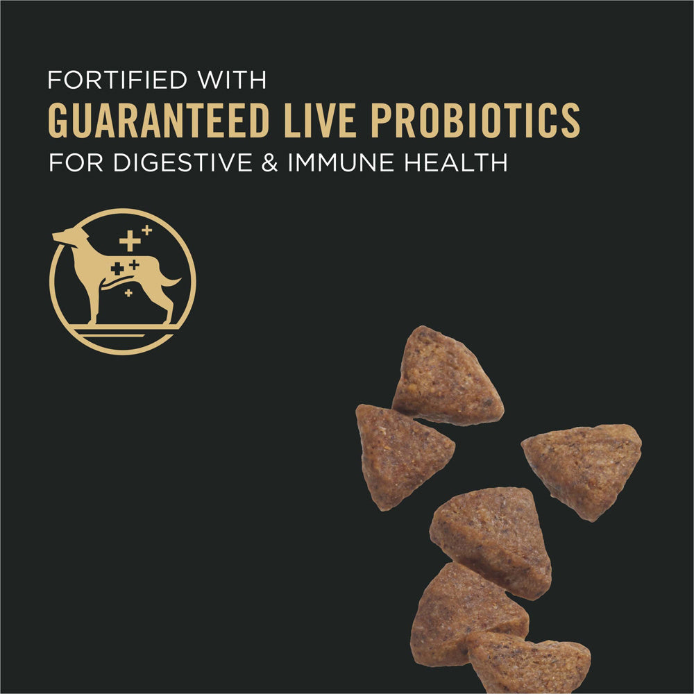 Purina Pro Plan High Protein Sensitive Skin & Sensitive Stomach Lamb & Oat Meal Formula Dry Dog Food  