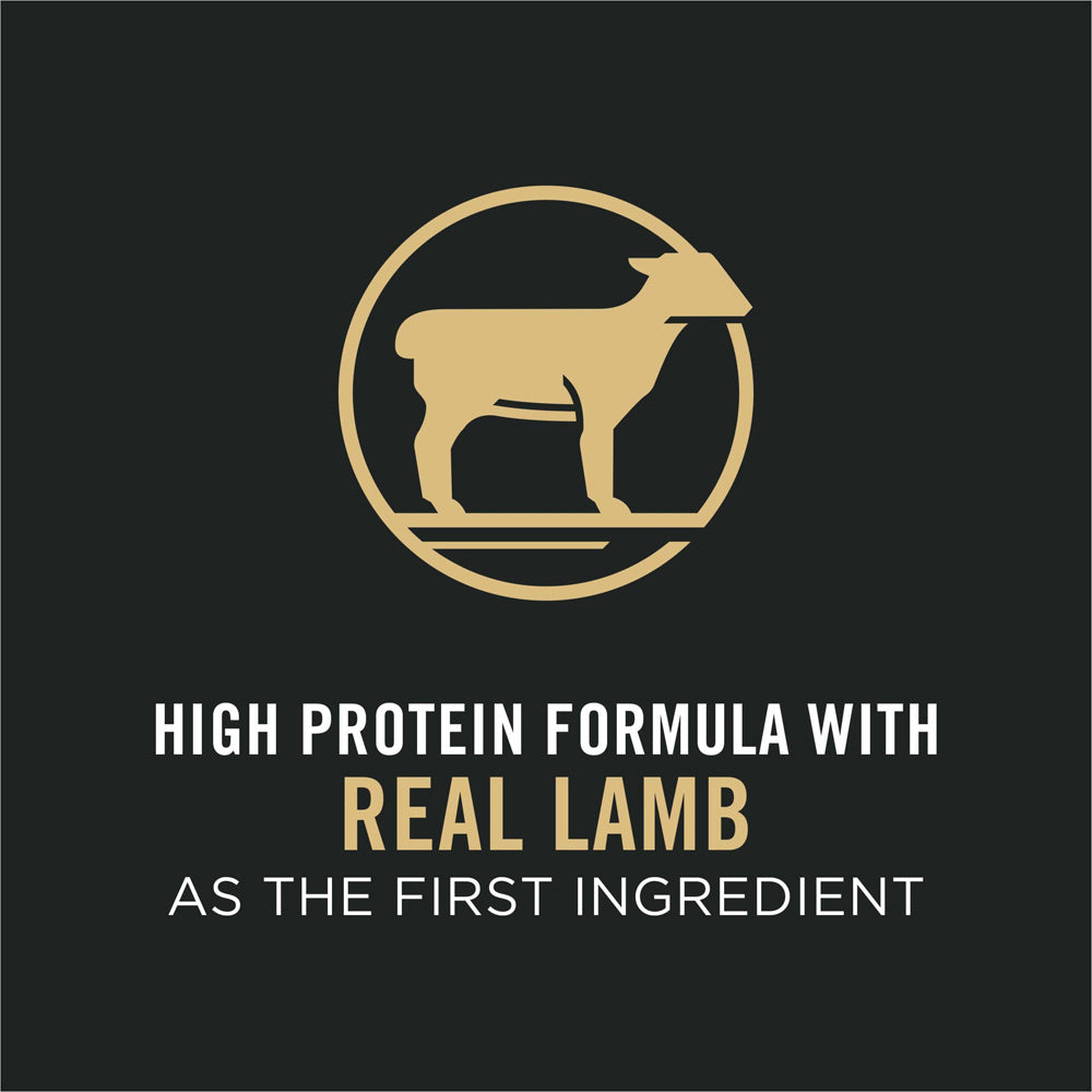 Purina Pro Plan High Protein Sensitive Skin & Sensitive Stomach Lamb & Oat Meal Formula Dry Dog Food  