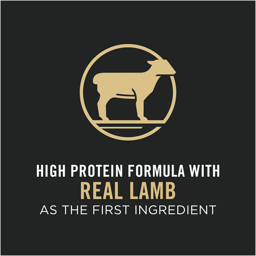 Purina Pro Plan High Protein Sensitive Skin & Stomach Lamb & Rice Formula Dry Cat Food  