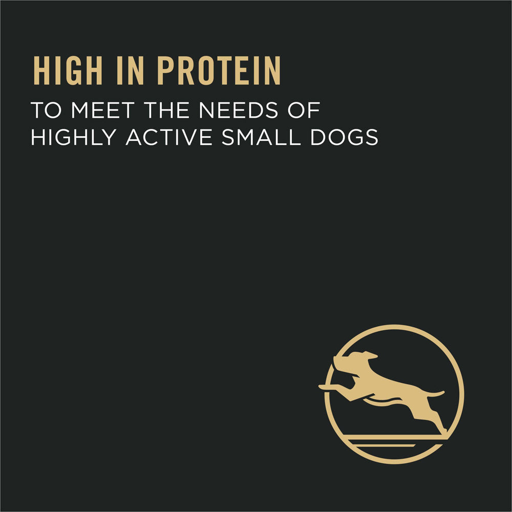 Purina Pro Plan High Protein Sensitive Skin & Stomach Small Breed Salmon & Rice Formula Dry Dog Food  