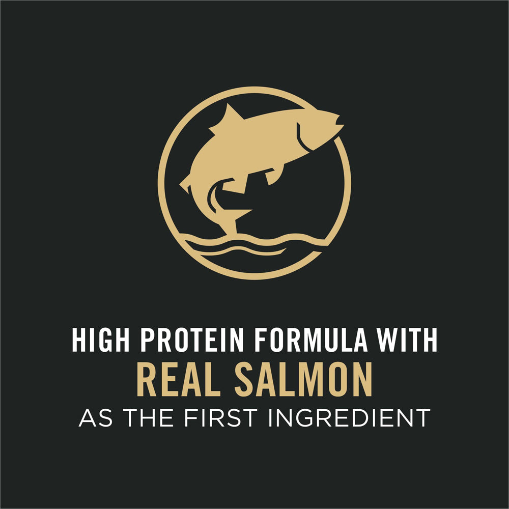 Purina Pro Plan High Protein Sensitive Skin & Stomach Small Breed Salmon & Rice Formula Dry Dog Food  