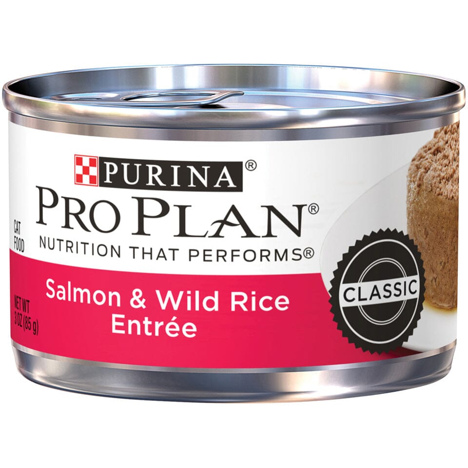 Purina Pro Plan Pate Salmon & Wild Rice Entree Wet Cat Food  