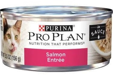 Purina Pro Plan Salmon Entree in Sauce Canned Cat Food  