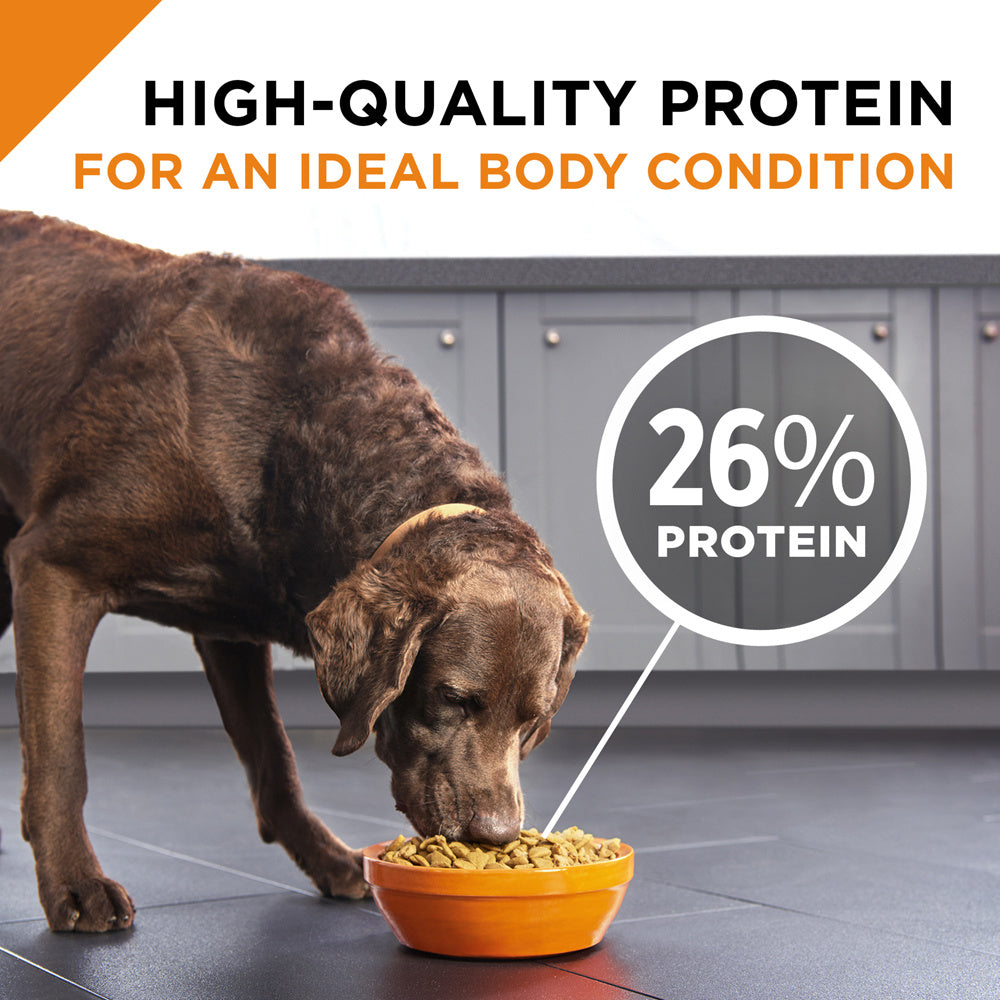 Purina Pro Plan Savor Adult Shredded Blend Beef & Rice Formula Dry Dog Food  