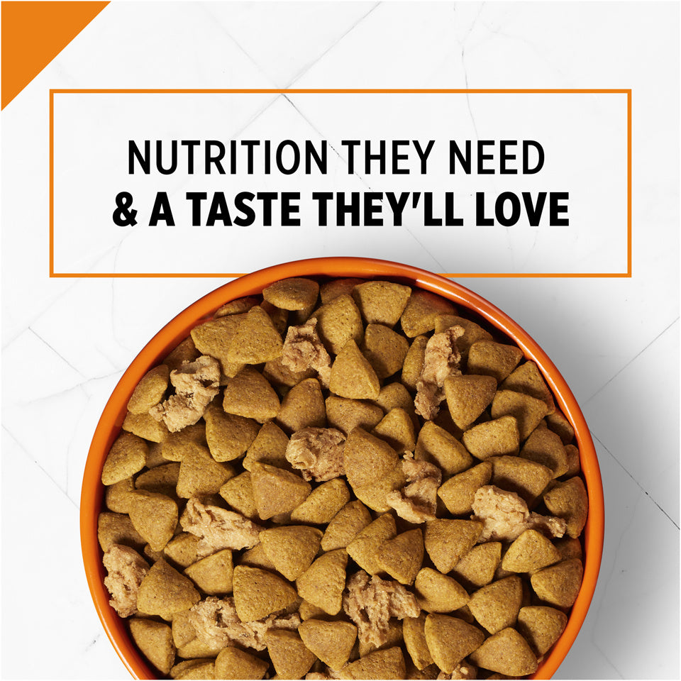 Purina Pro Plan Savor Adult Shredded Blend Salmon & Rice Formula Dry Dog Food  