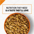 Purina Pro Plan Savor Adult Shredded Blend Salmon & Rice Formula Dry Dog Food  