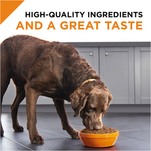 Pro plan savor chicken best sale and rice dog food