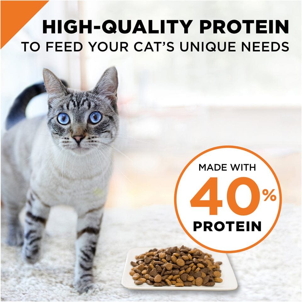 Purina Pro Plan Savor Chicken & Rice Formula Dry Cat Food  