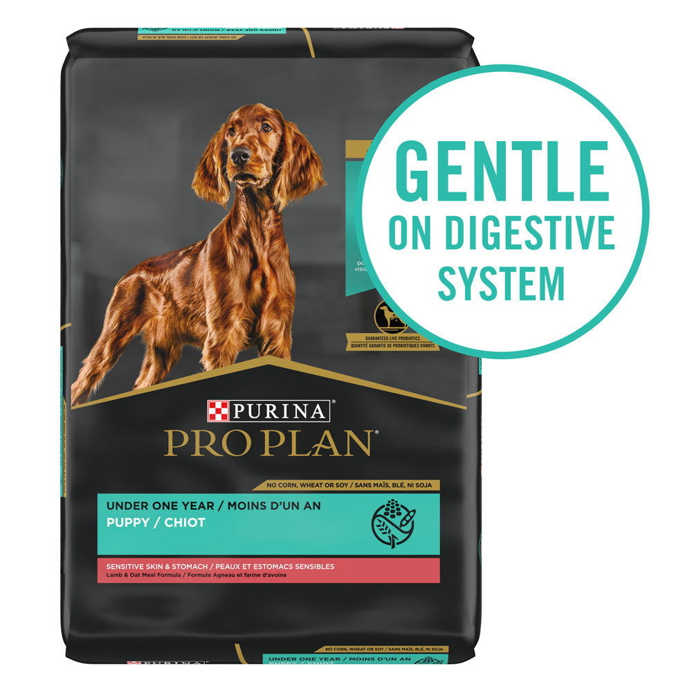 Purina Pro Plan Sensitive Skin & Stomach Lamb & Oat Meal With Probiotics Sensitive Stomach Dry Puppy Food  