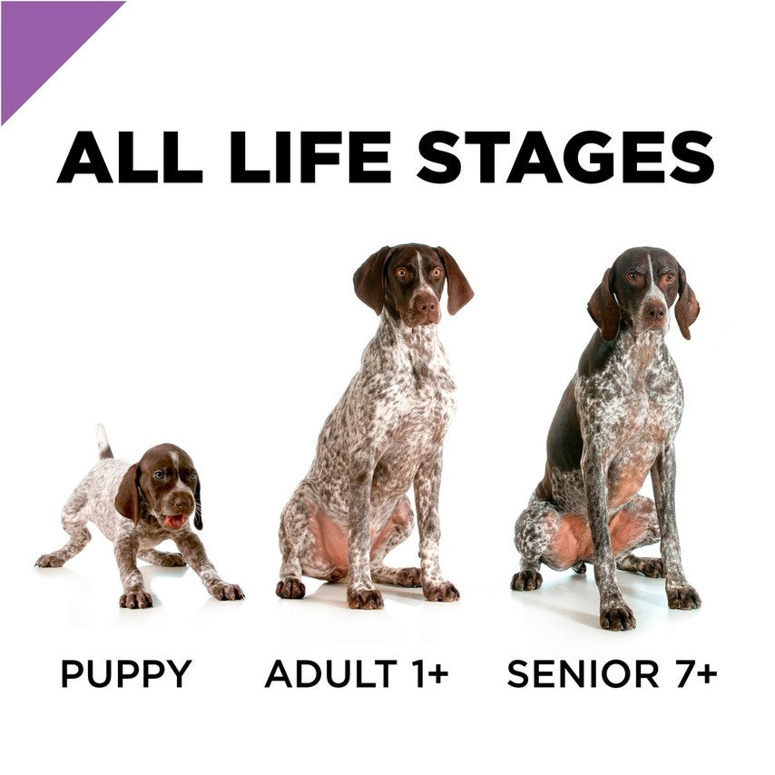 Purina Pro Plan Sport All Life Stages Performance 30/20 Salmon & Rice Formula Dry Dog Food  