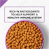 Purina Pro Plan Sport All Life Stages Performance 30/20 Salmon & Rice Formula Dry Dog Food  