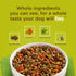 Rachael Ray Nutrish Dish Natural Chicken & Brown Rice with Fruit & Veggies Recipe Dry Dog Food  