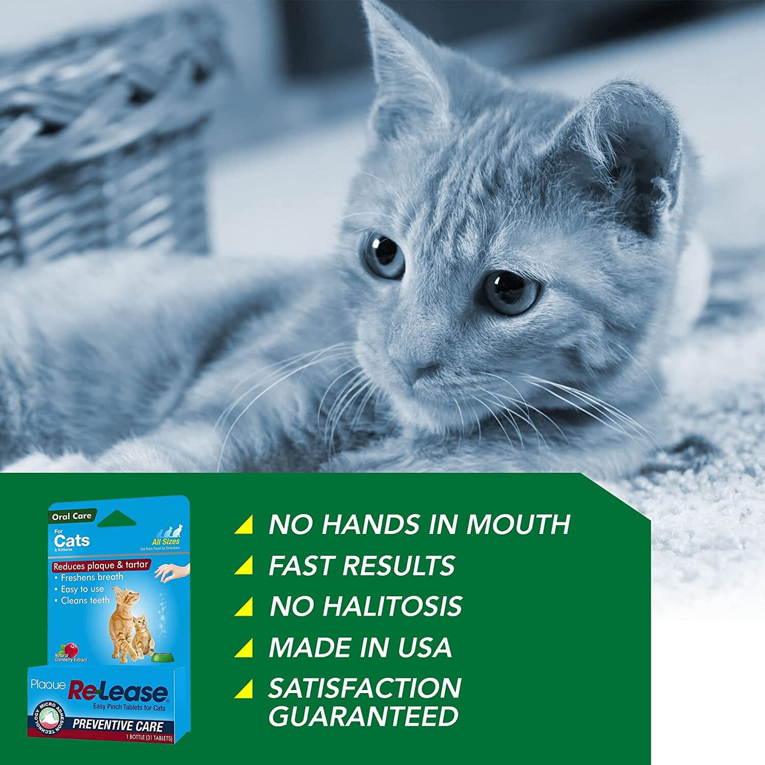 Ramard Ramard Plaque Re-Lease Oral Care for Cats - 31 Count  