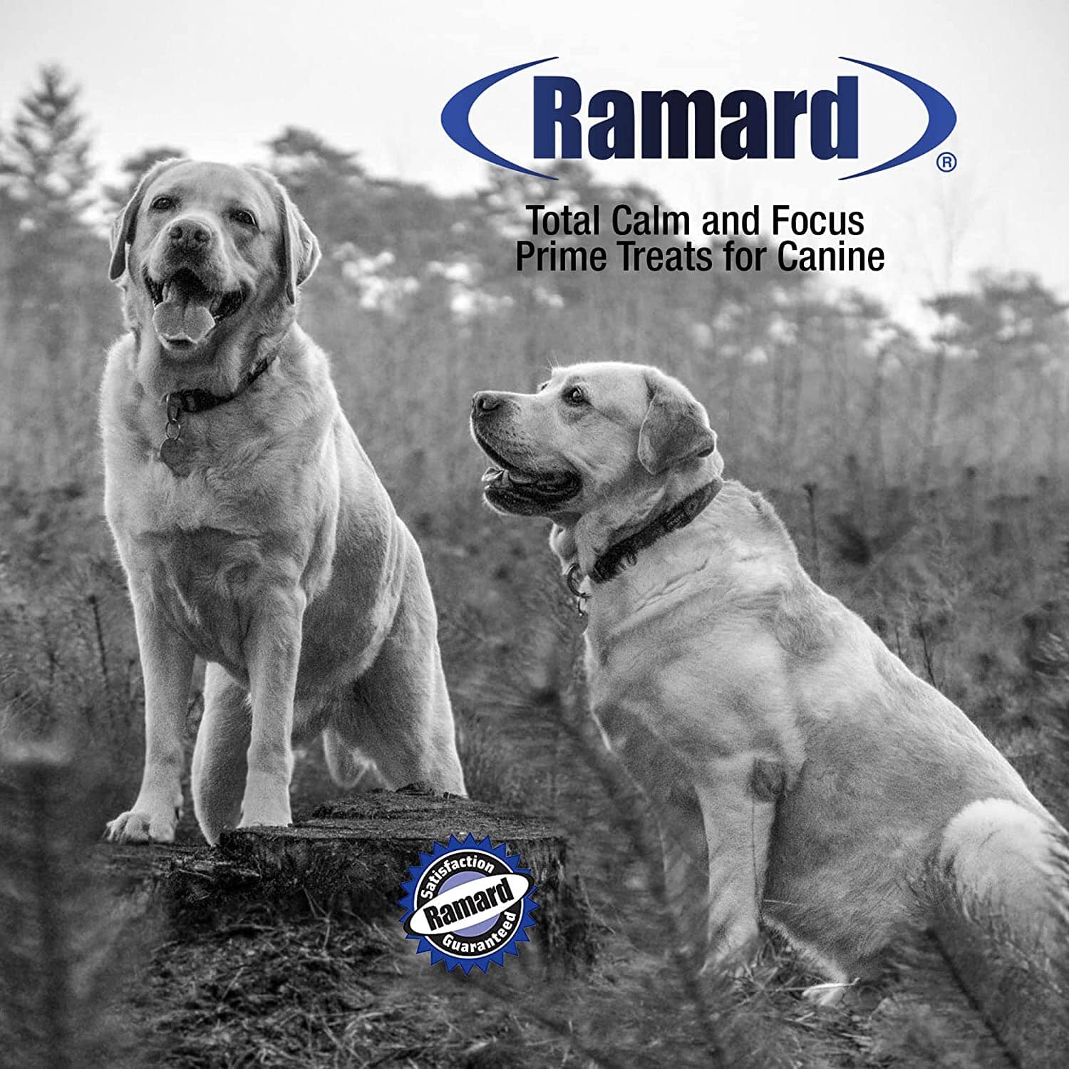 Ramard Ramard Total Calm & Focus Canine Supplements - Salmon - 45 Count  