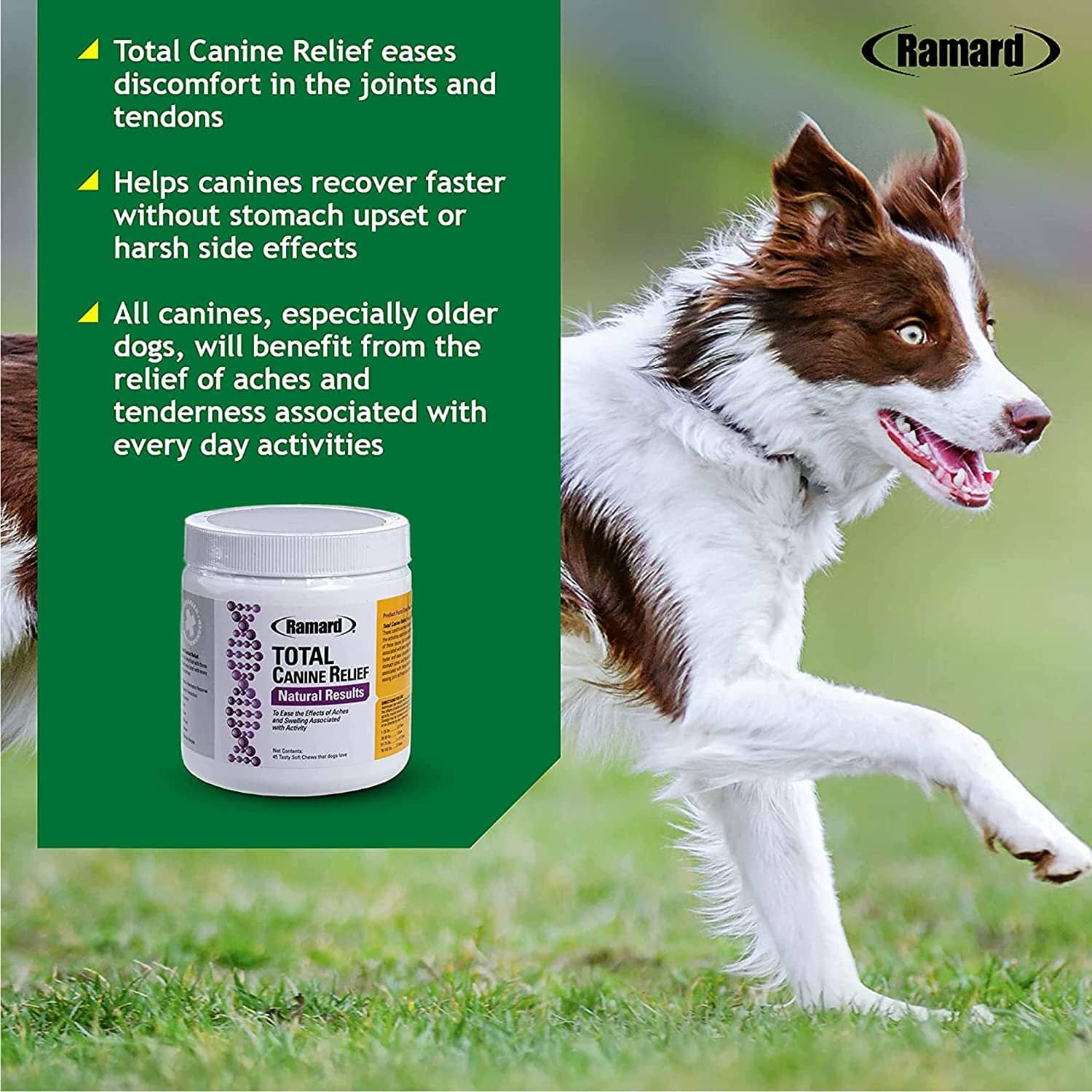 Ramard Ramard Total Canine Relief Natural Results Dog Joint Care - 45 Count  