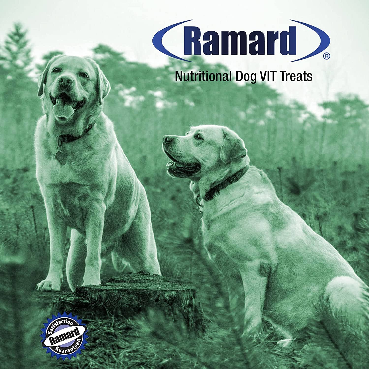 Ramard Ramard Total Canine Relief Natural Results Dog Joint Care - 45 Count  