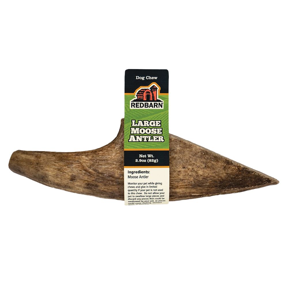 Red Barn Grain-Free Moose Antler Extra Large Natural Dog Chews - 12 Count  