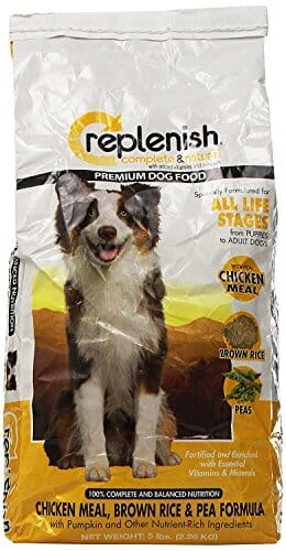 Replenish Grain-Free Canned Dog Food - Beef Chicken and Venison - 13.2 Oz - Case of 12