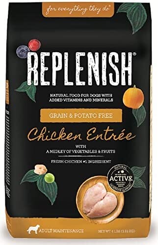 Replenish Grain-Free with Active 8 Dry Dog Food - Chicken - 4 Lbs  