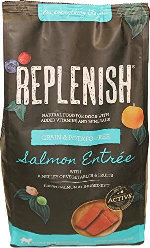 Replenish Grain-Free with Active 8 Dry Dog Food - Salmon - 24 Lbs