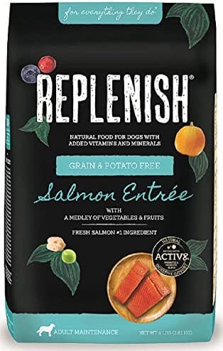 Replenish Grain-Free with Active 8 Dry Dog Food - Salmon - 4 Lbs  