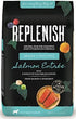 Replenish Grain-Free with Active 8 Dry Dog Food - Salmon - 4 Lbs  