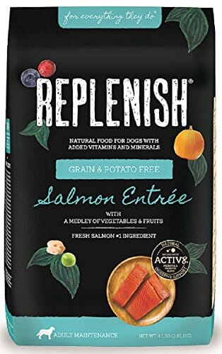 Replenish Grain-Free with Active 8 Dry Dog Food - Salmon - 6 Oz - 20 Pack