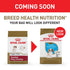 Royal Canin Breed Health Nutrition Cavalier King Charles Spaniel Puppy Recipe Dry Dog Food  