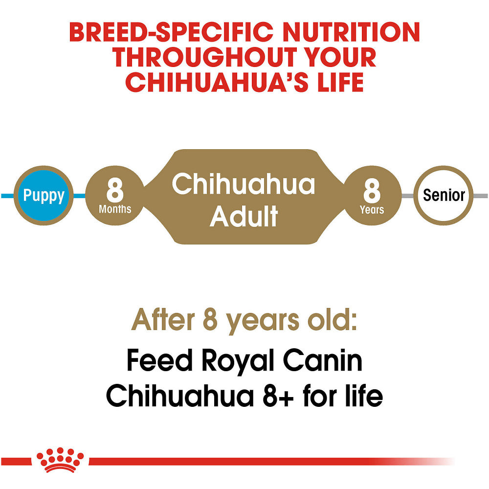 Royal Canin Breed Health Nutrition Chihuahua Adult Dry Dog Food  