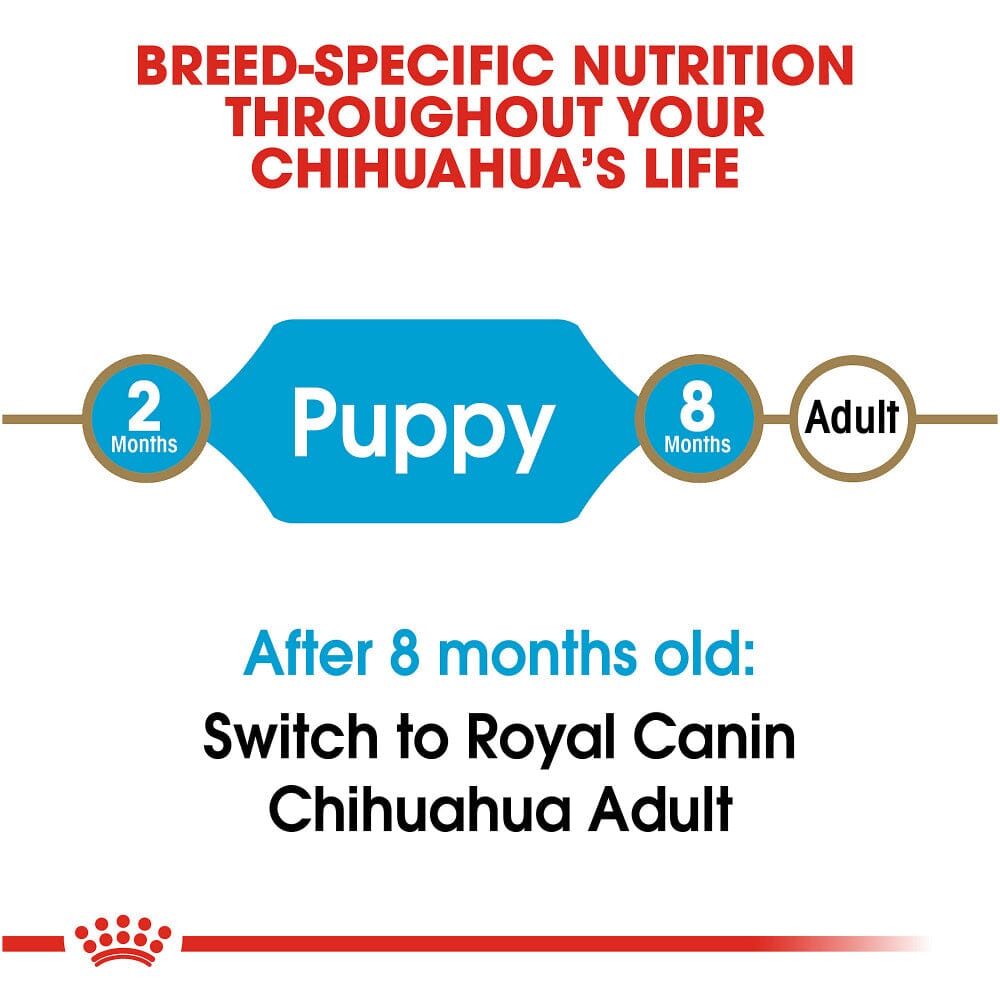 Royal Canin Breed Health Nutrition Chihuahua Puppy Dry Dog Food  