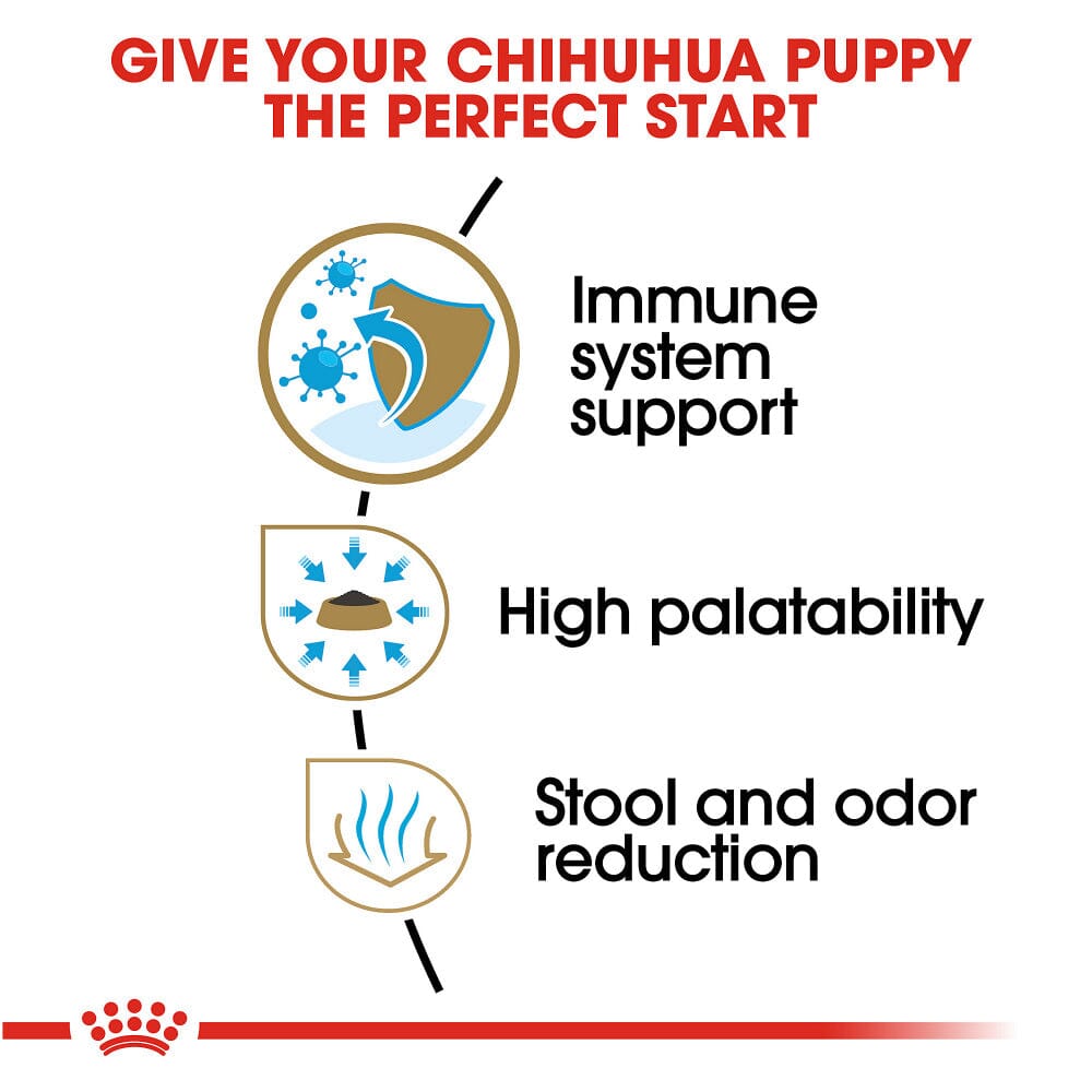 Royal Canin Breed Health Nutrition Chihuahua Puppy Dry Dog Food  