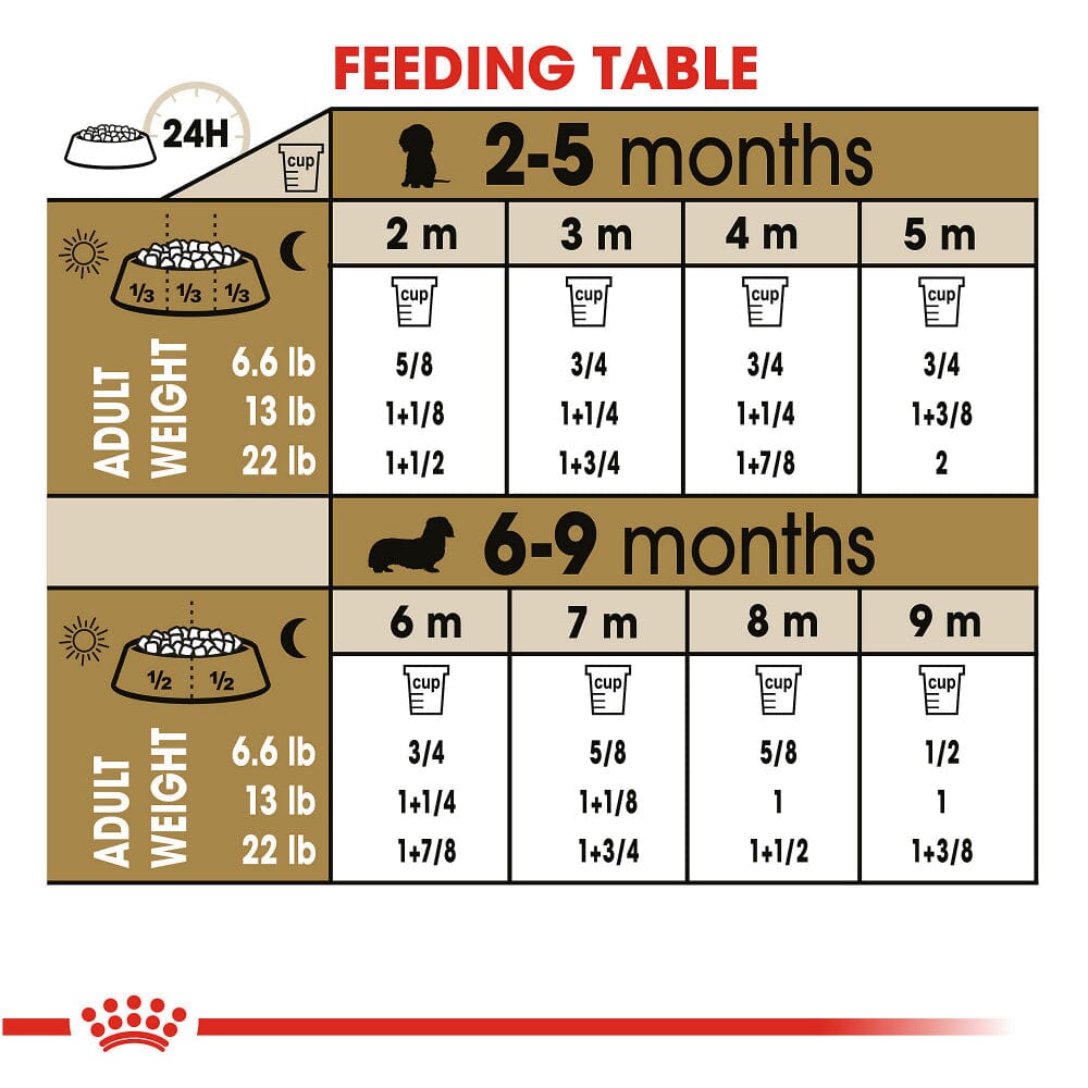 Royal Canin Breed Health Nutrition Dachshund Puppy Dry Dog Food  