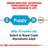 Royal Canin Breed Health Nutrition Dachshund Puppy Dry Dog Food  