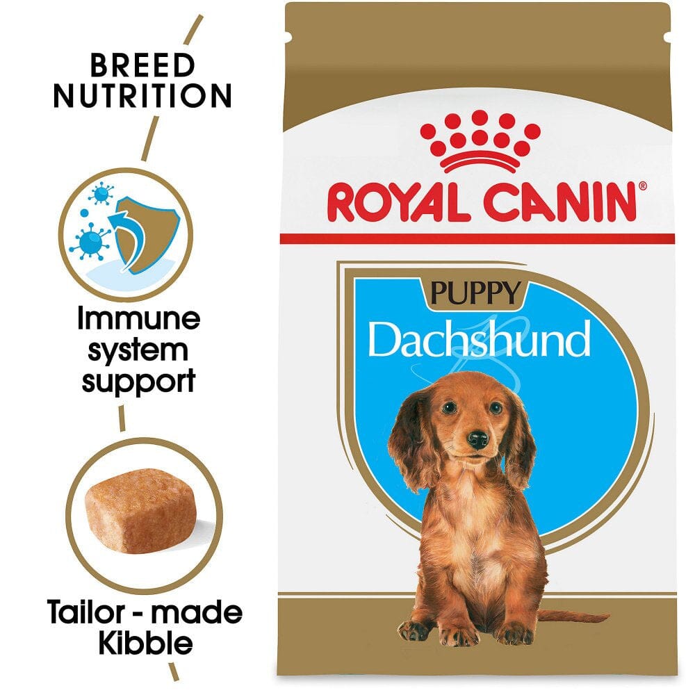 how much should i feed a dachshund puppy